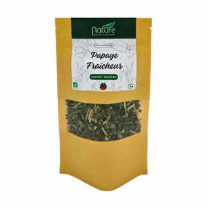 Tisane Papaye fraîcheur Nature d'ici et d'ailleurs